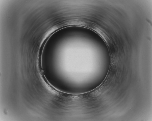 X0000097291139200802151409