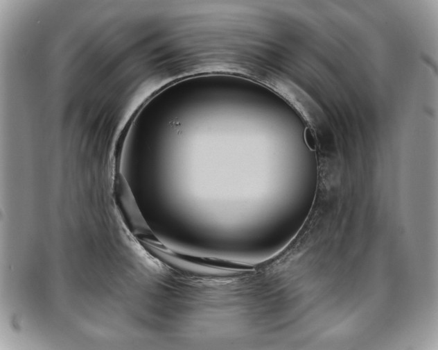 X0000097291140200802151409