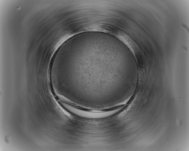 X0000097291141200802151409