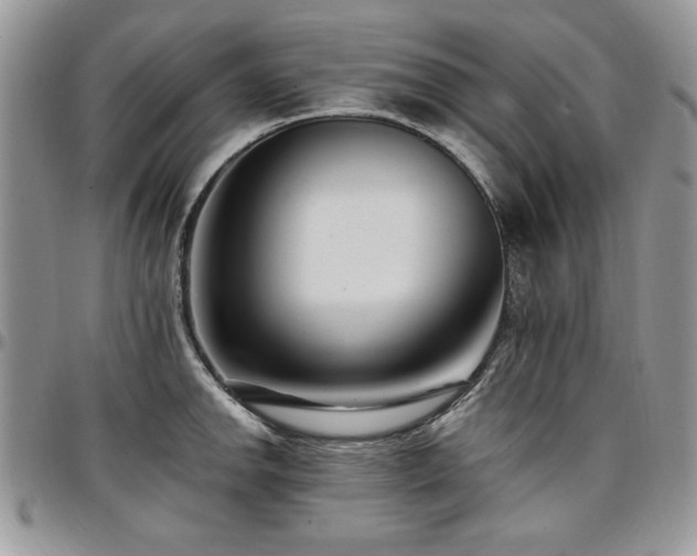X0000097291142200802151409