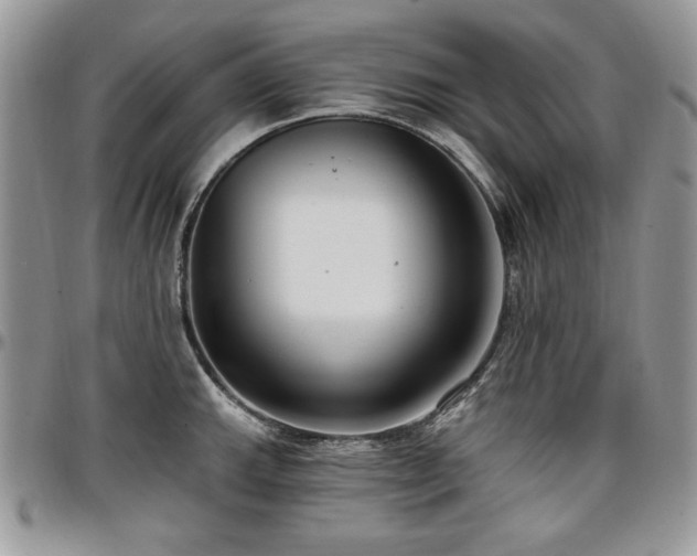 X0000097291143200802151409