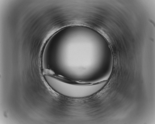 X0000097291144200802151409