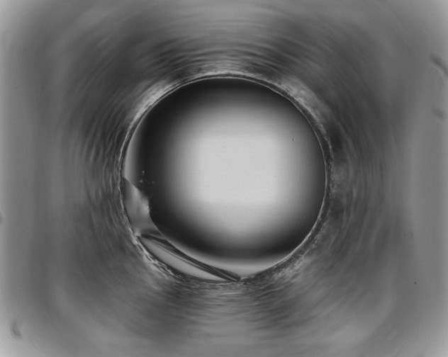 X0000097291145200802151409