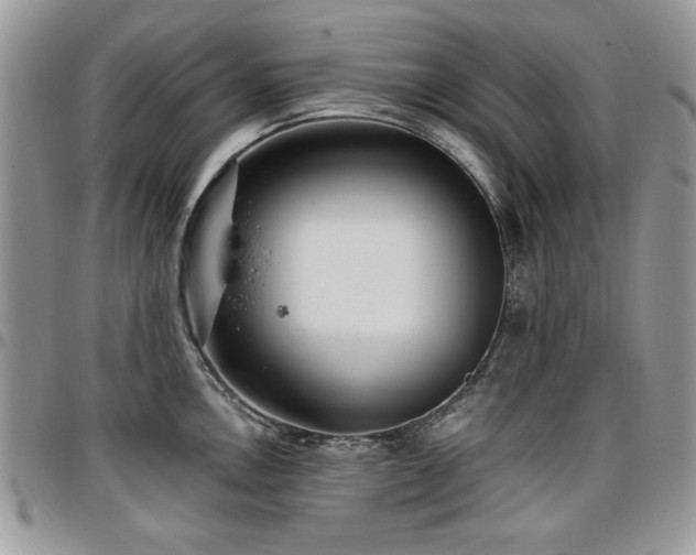X0000097291146200802151409
