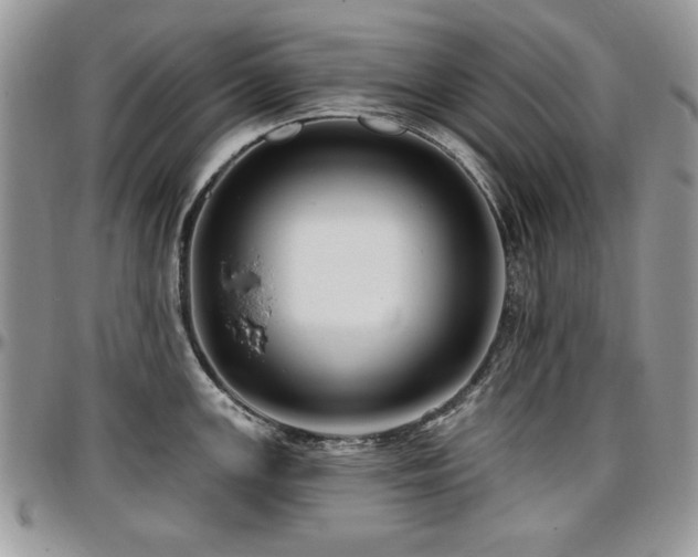 X0000097291147200802151409