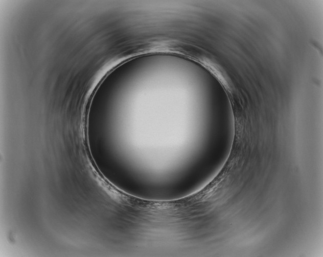 X0000097291148200802151409