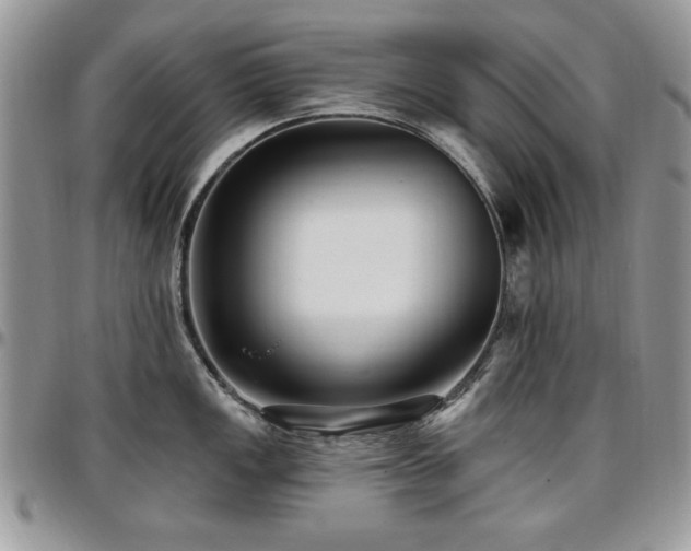X0000097291149200802151409