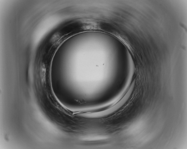 X0000097291151200802151409