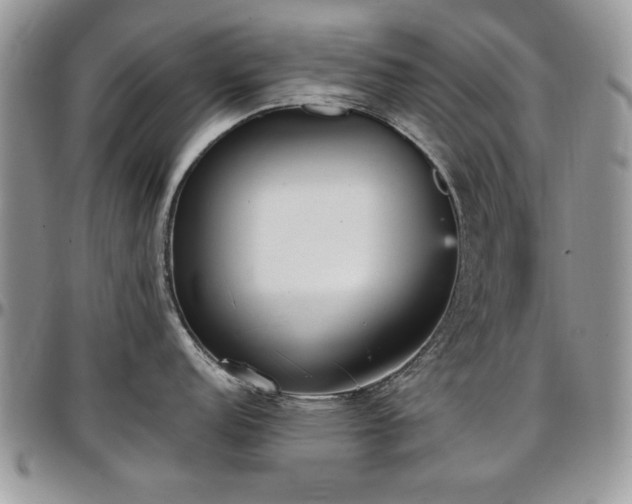 X0000097291152200802151409