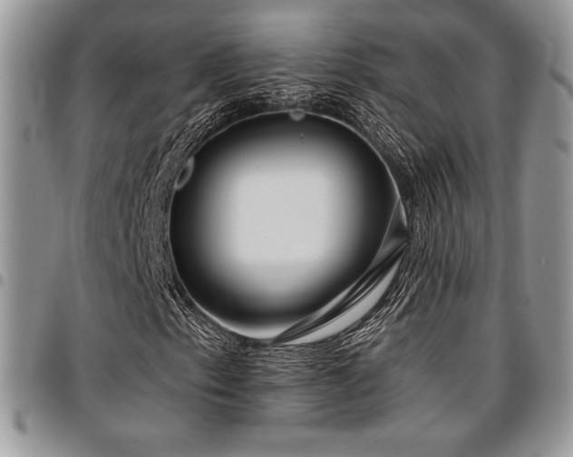 X0000097291153200802151408