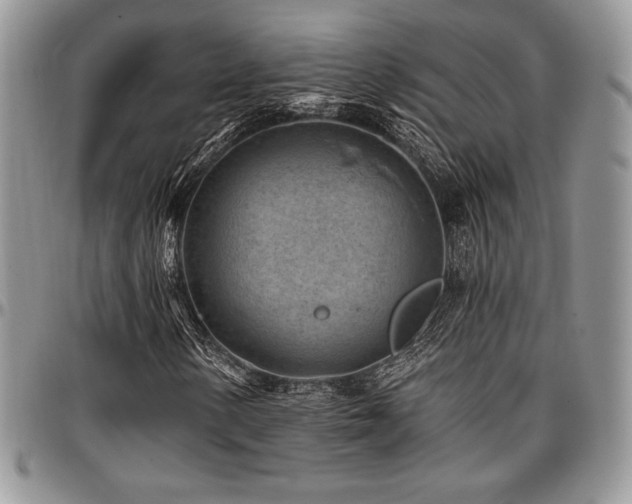 X0000097291154200802151408