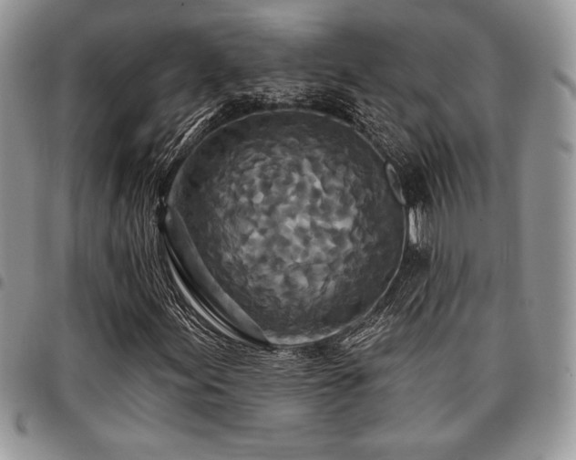 X0000097291155200802151408