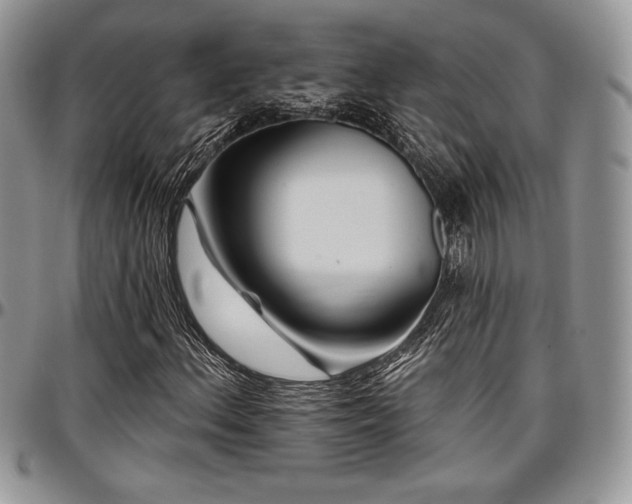 X0000097291156200802151408