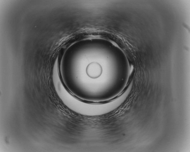 X0000097291157200802151408