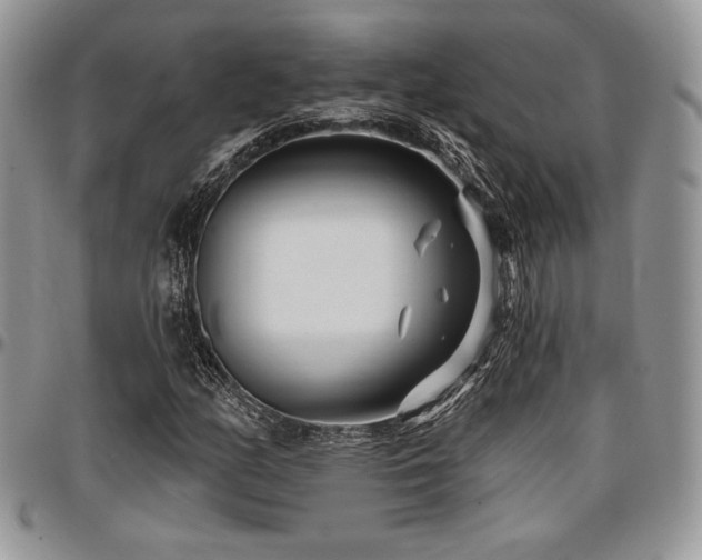 X0000097291158200802151408