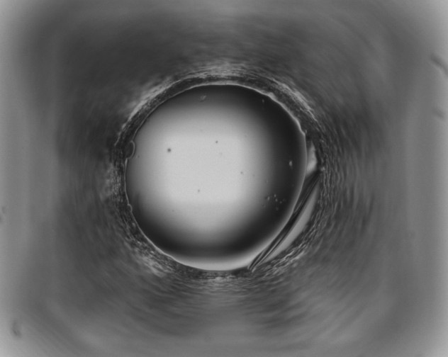 X0000097291160200802151408