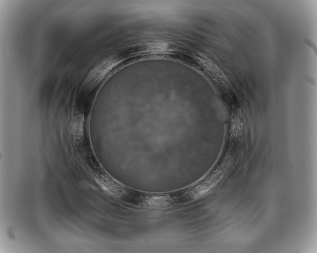 X0000097291161200802151408