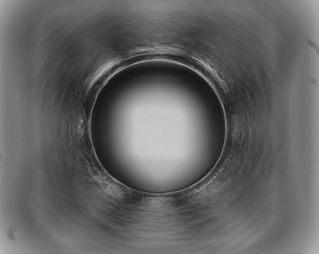 X0000097291163200802151408