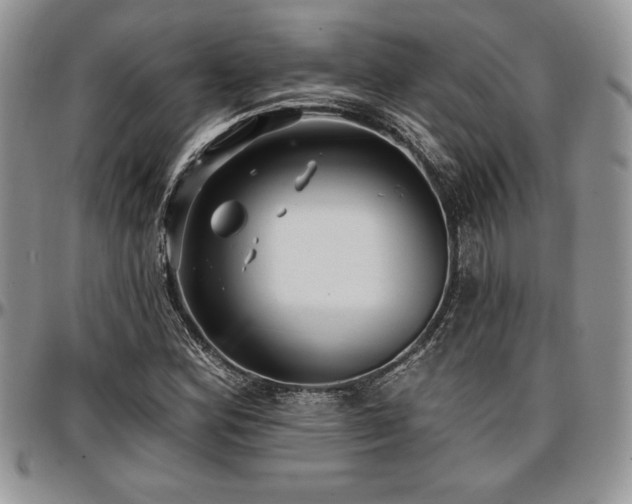 X0000097291164200802151408