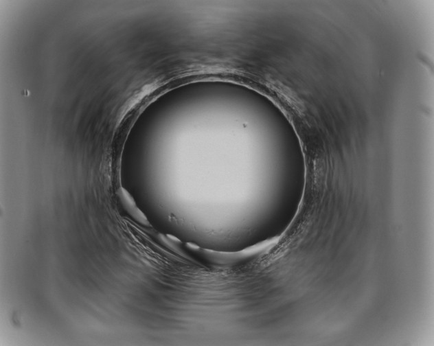 X0000097291165200802151408