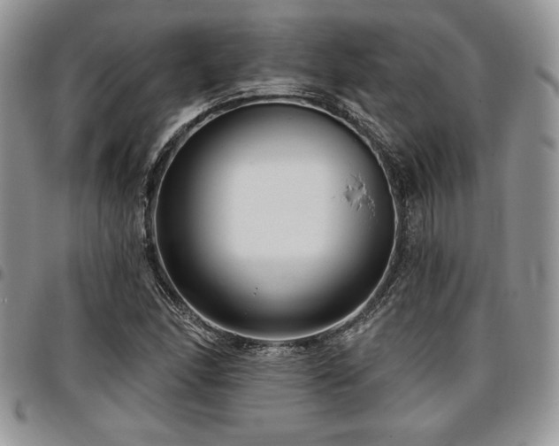 X0000097291166200802151408