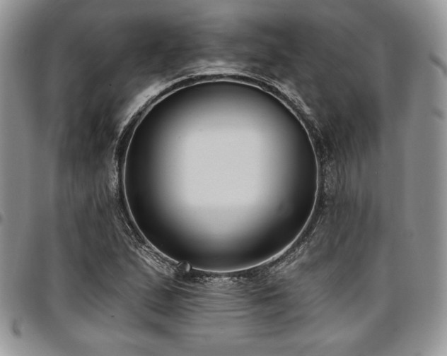 X0000097291167200802151408