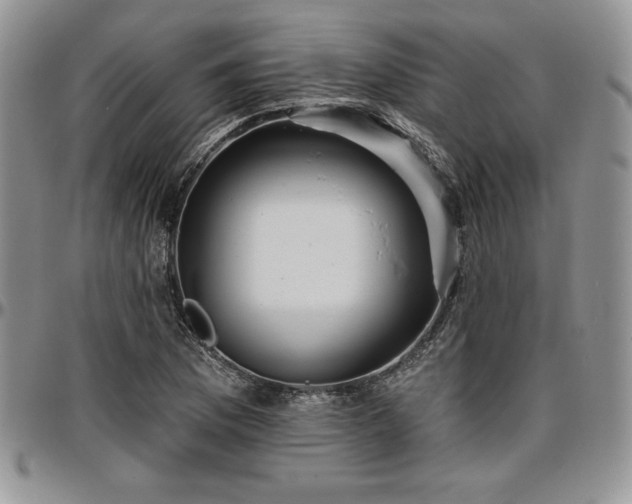 X0000097291169200802151408