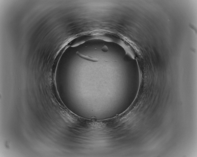 X0000097291170200802151408