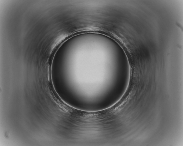 X0000097291171200802151408