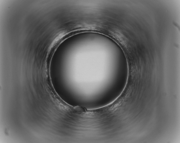 X0000097291172200802151408