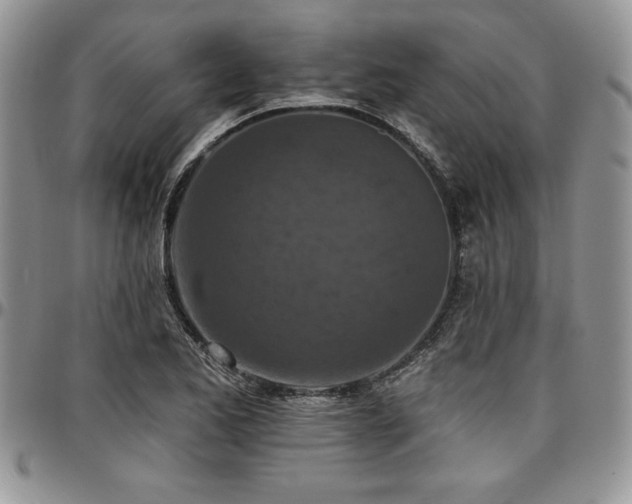 X0000097291173200802151408