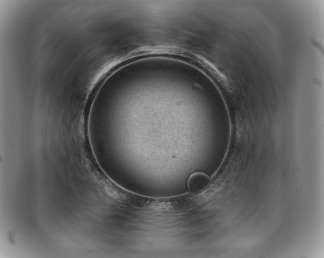 X0000097291174200802151408