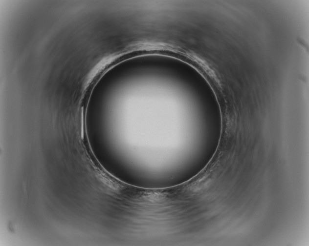 X0000097291175200802151408