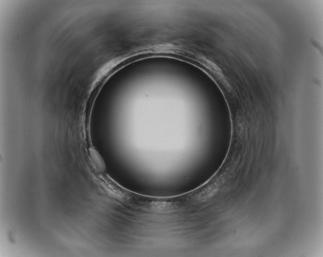 X0000097291176200802151408