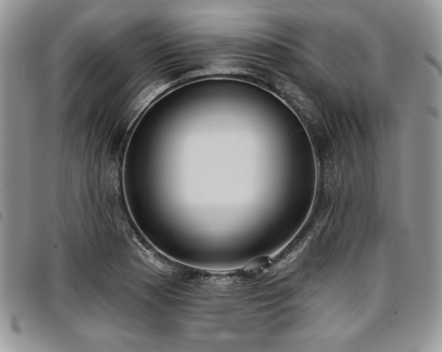X0000097291177200802151408