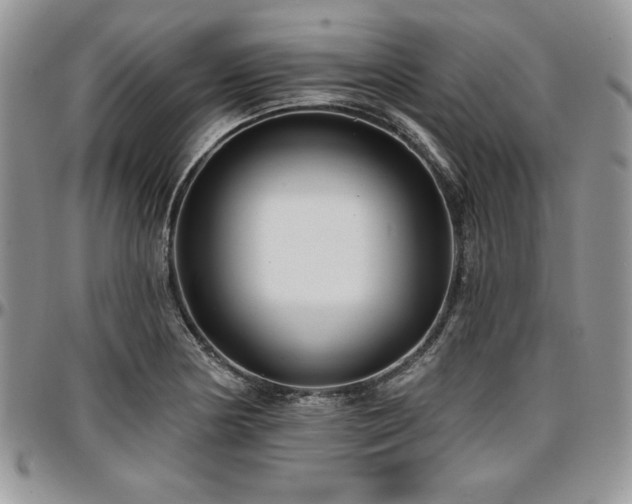 X0000097291178200802151408