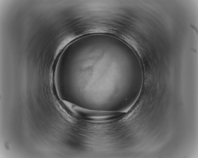 X0000097291179200802151408