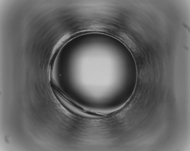 X0000097291180200802151408
