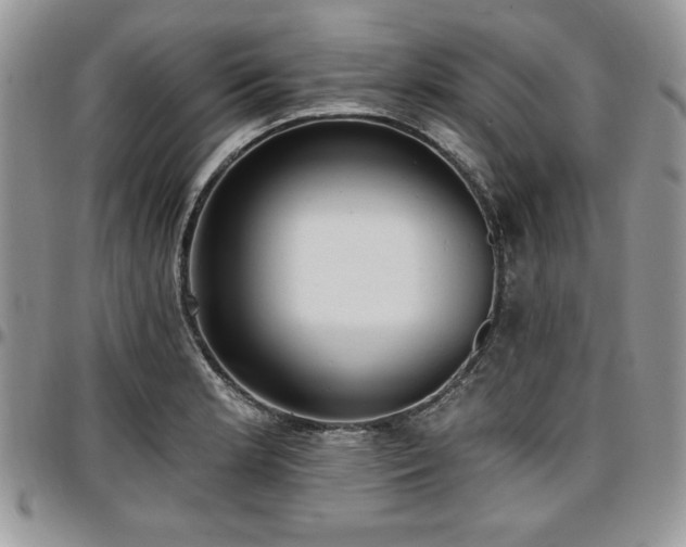 X0000097291181200802151408