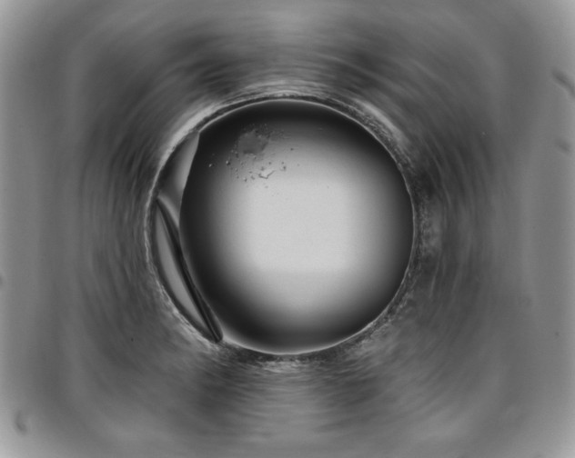 X0000097291182200802151408