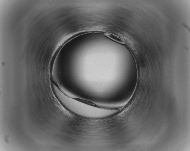 X0000097291184200802151408