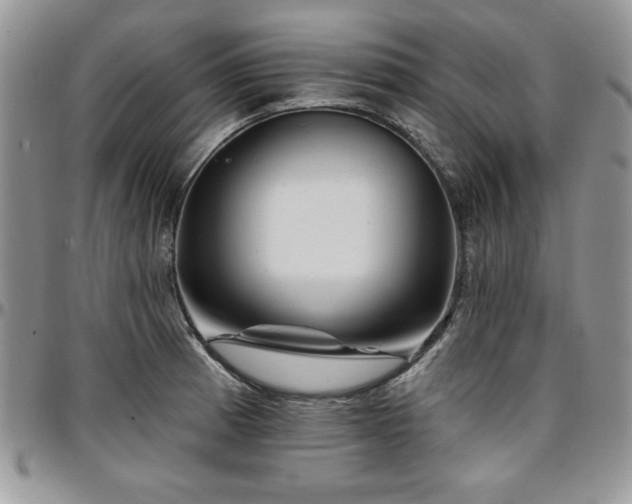 X0000097291185200802151408