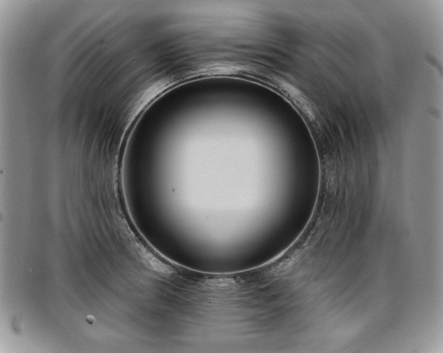 X0000097291186200802151408