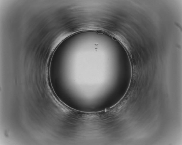 X0000097291187200802151408