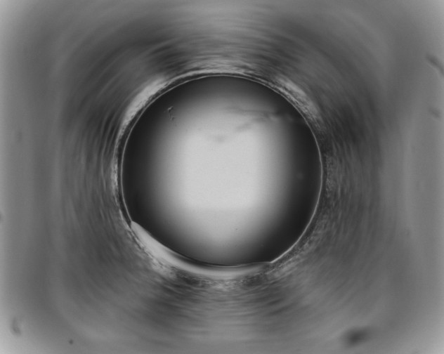 X0000097291188200802151408