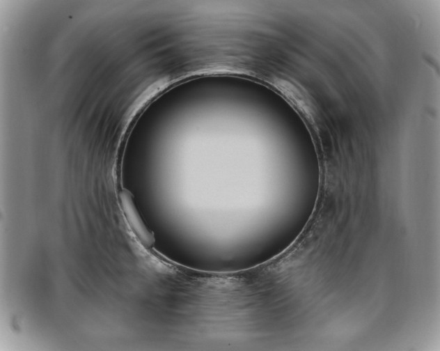 X0000097291189200802151408