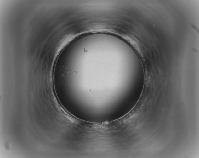 X0000097291191200802151408