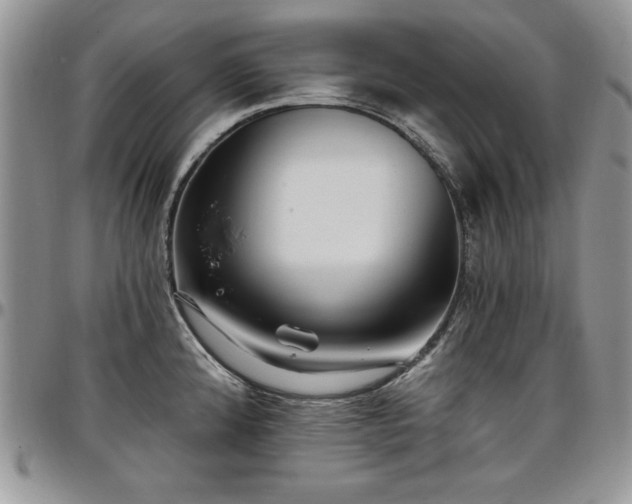 X0000097291192200802151408