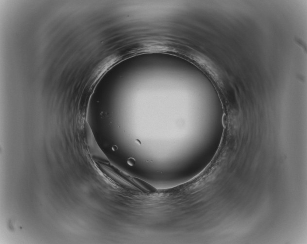 X0000097291193200802151408