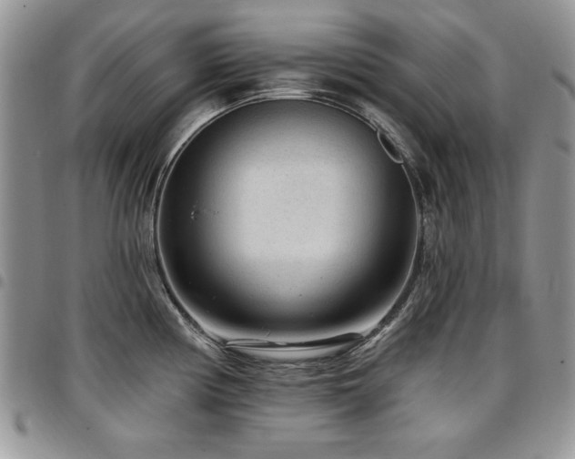 X0000097291194200802151408